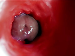 A fat beautiful cock flows abundantly inside a gungy slippery hole and smacks! route delighted sex porn videos asian